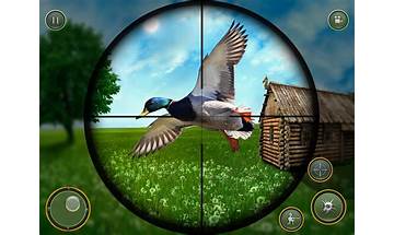 Birds Hunter In Desert for Android - Download the APK from Habererciyes